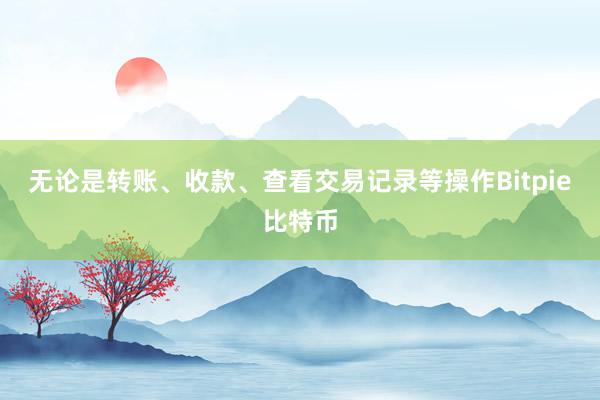 无论是转账、收款、查看交易记录等操作Bitpie比特币