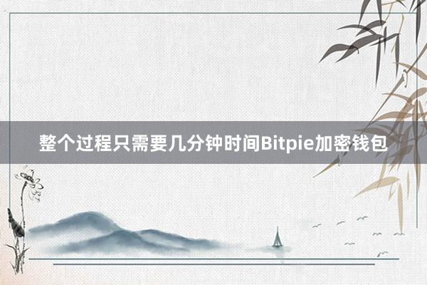 整个过程只需要几分钟时间Bitpie加密钱包