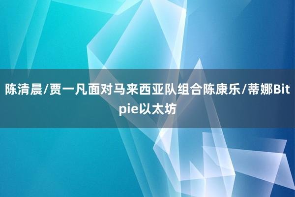 陈清晨/贾一凡面对马来西亚队组合陈康乐/蒂娜Bitpie以太坊