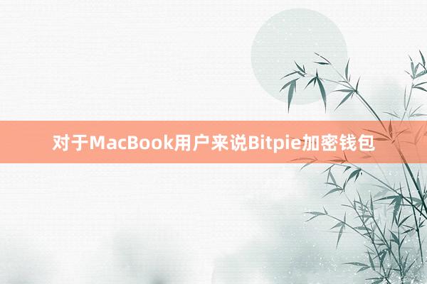 对于MacBook用户来说Bitpie加密钱包