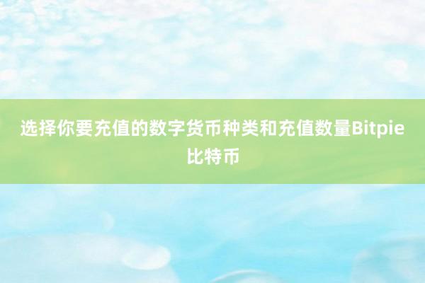 选择你要充值的数字货币种类和充值数量Bitpie比特币