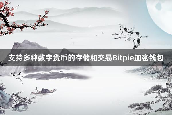 支持多种数字货币的存储和交易Bitpie加密钱包