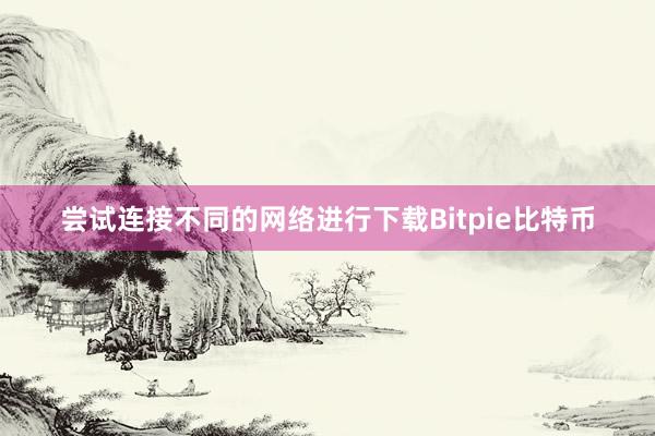 尝试连接不同的网络进行下载Bitpie比特币