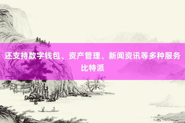 还支持数字钱包、资产管理、新闻资讯等多种服务比特派