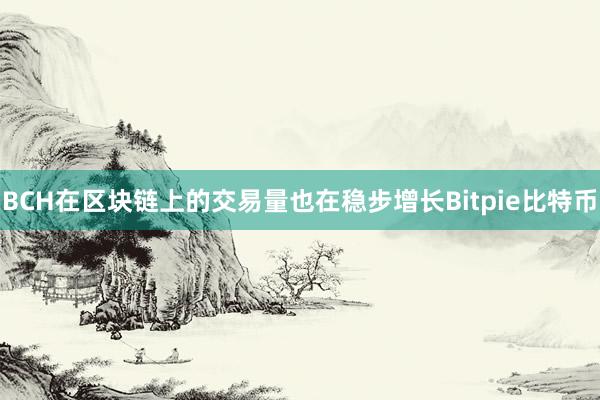 BCH在区块链上的交易量也在稳步增长Bitpie比特币