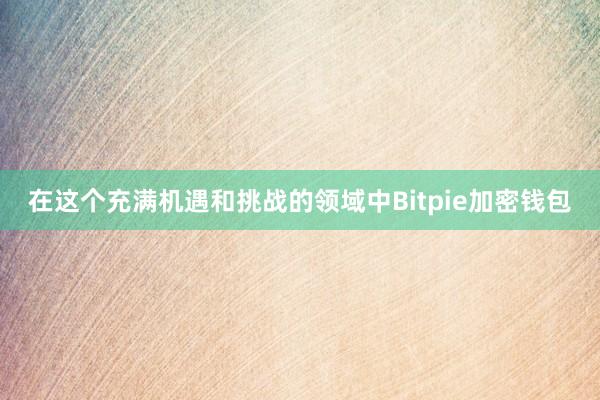 在这个充满机遇和挑战的领域中Bitpie加密钱包