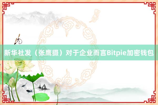 新华社发（张鹰摄）对于企业而言Bitpie加密钱包