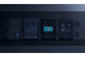 比特派安全登录  举例AES加密算法和SHA-256哈希算法